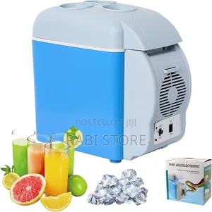 Portable Car Refrigerator and Warmer, 12v