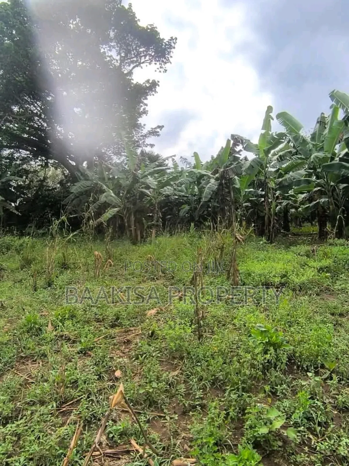 45ft by 50ft Plot on Sell in Matugga Buwambo