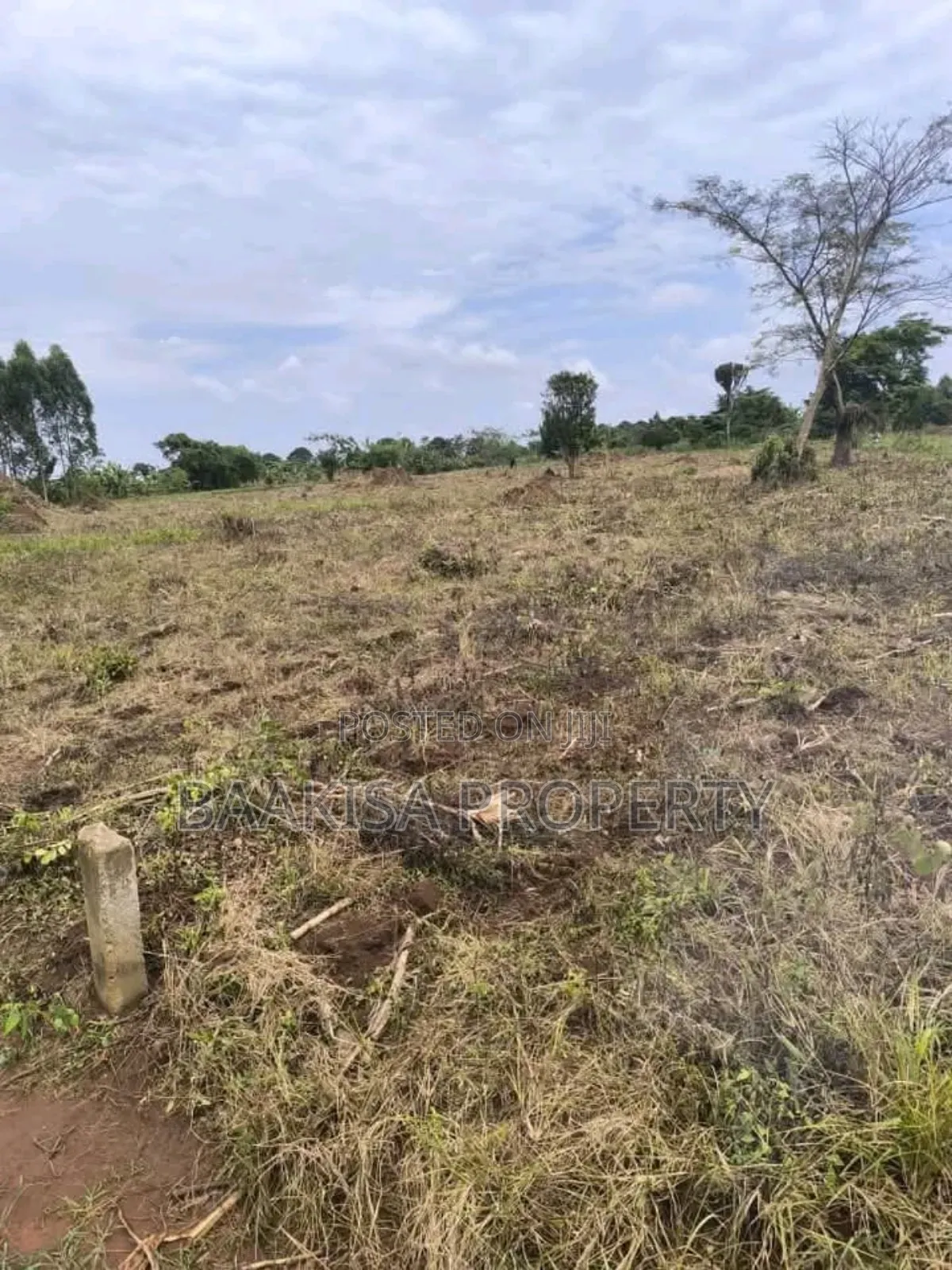 45ft by 50ft Plot on Sell in Matugga Buwambo
