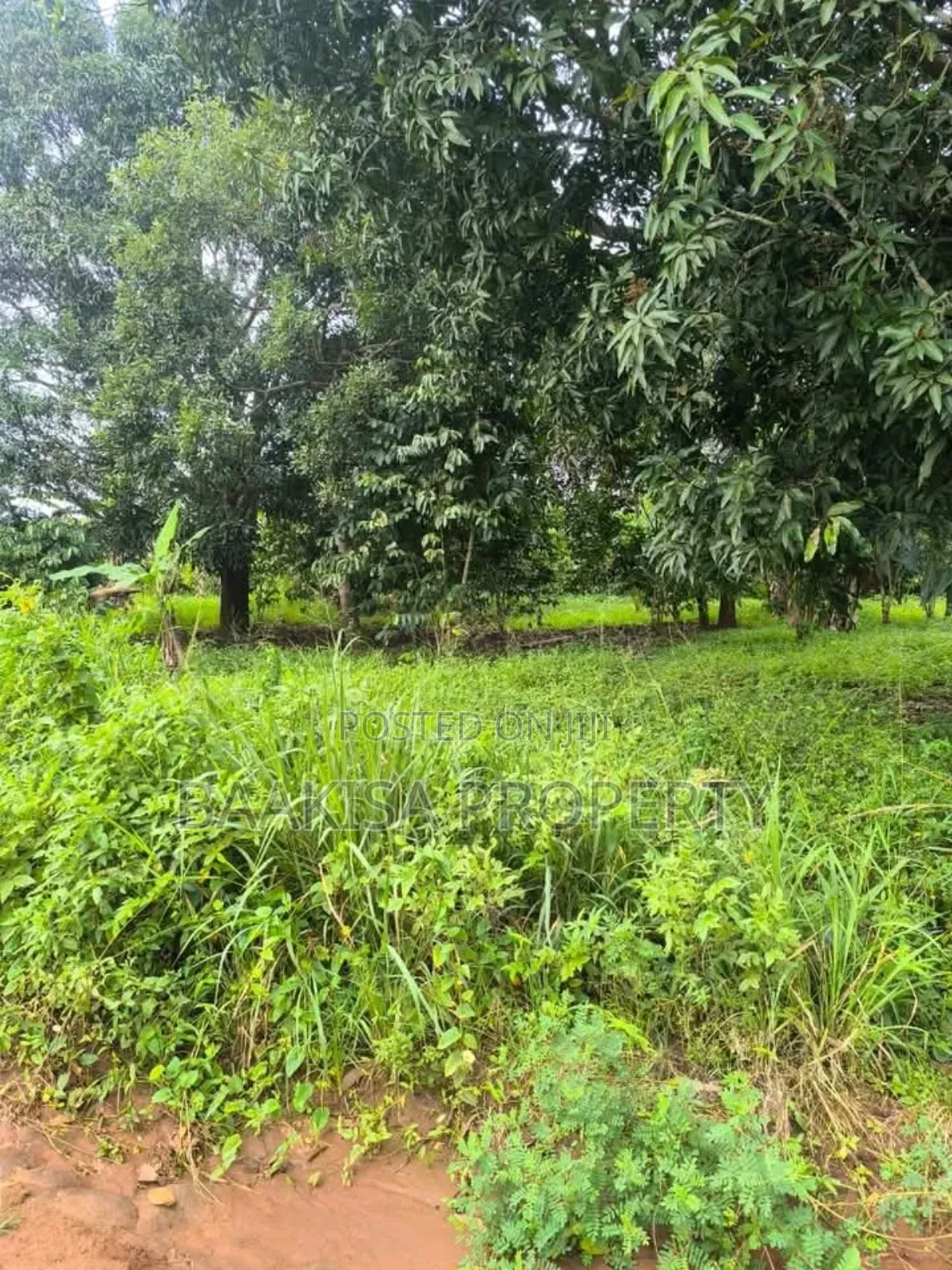 45ft by 50ft Plot on Sell in Matugga Buwambo