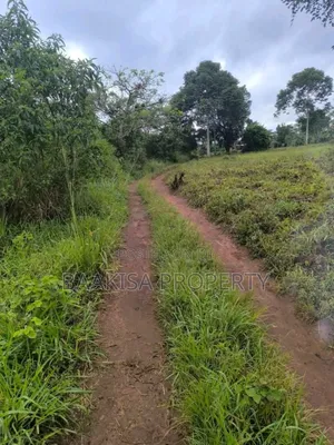 45ft by 50ft Plot on Sell in Matugga Buwambo