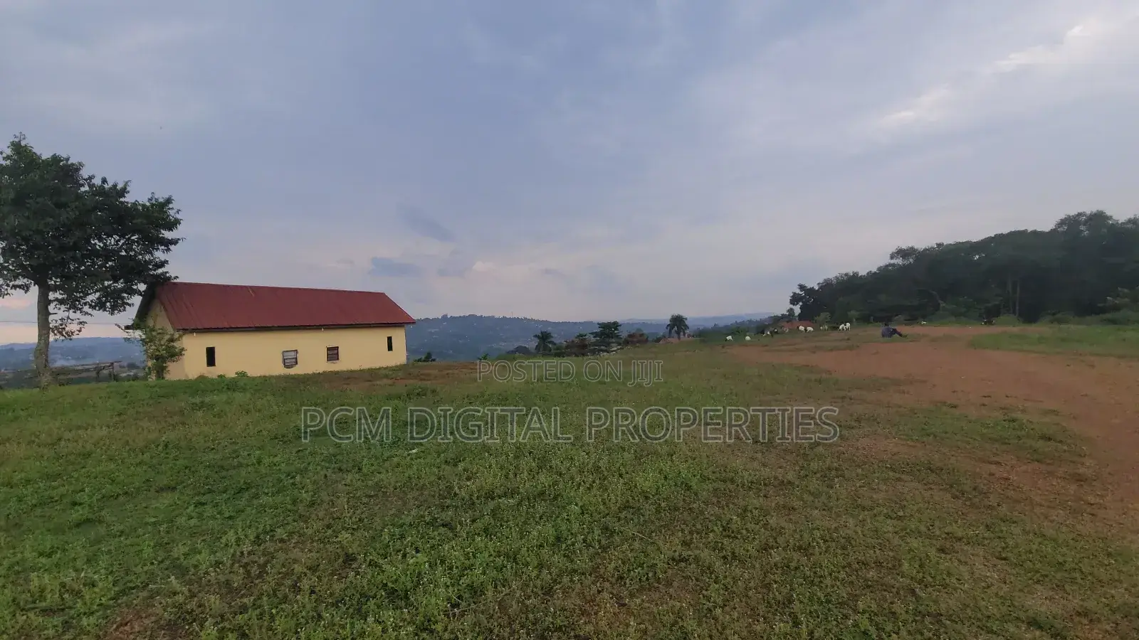 Hill Lake View 23decimals for Sale in Kakilama
