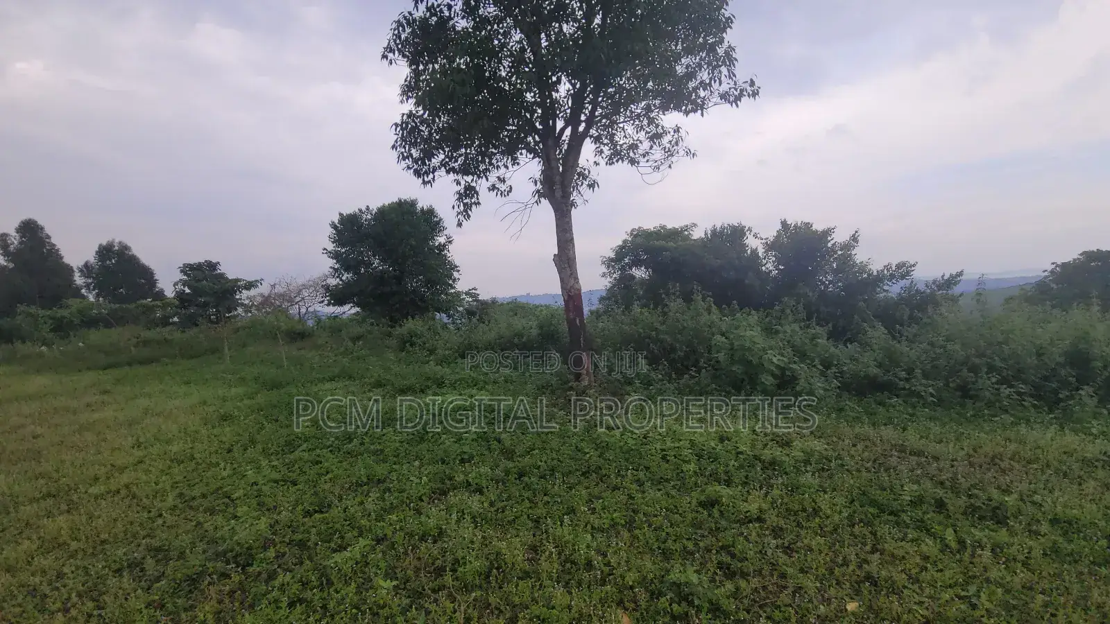 Hill Lake View 23decimals for Sale in Kakilama