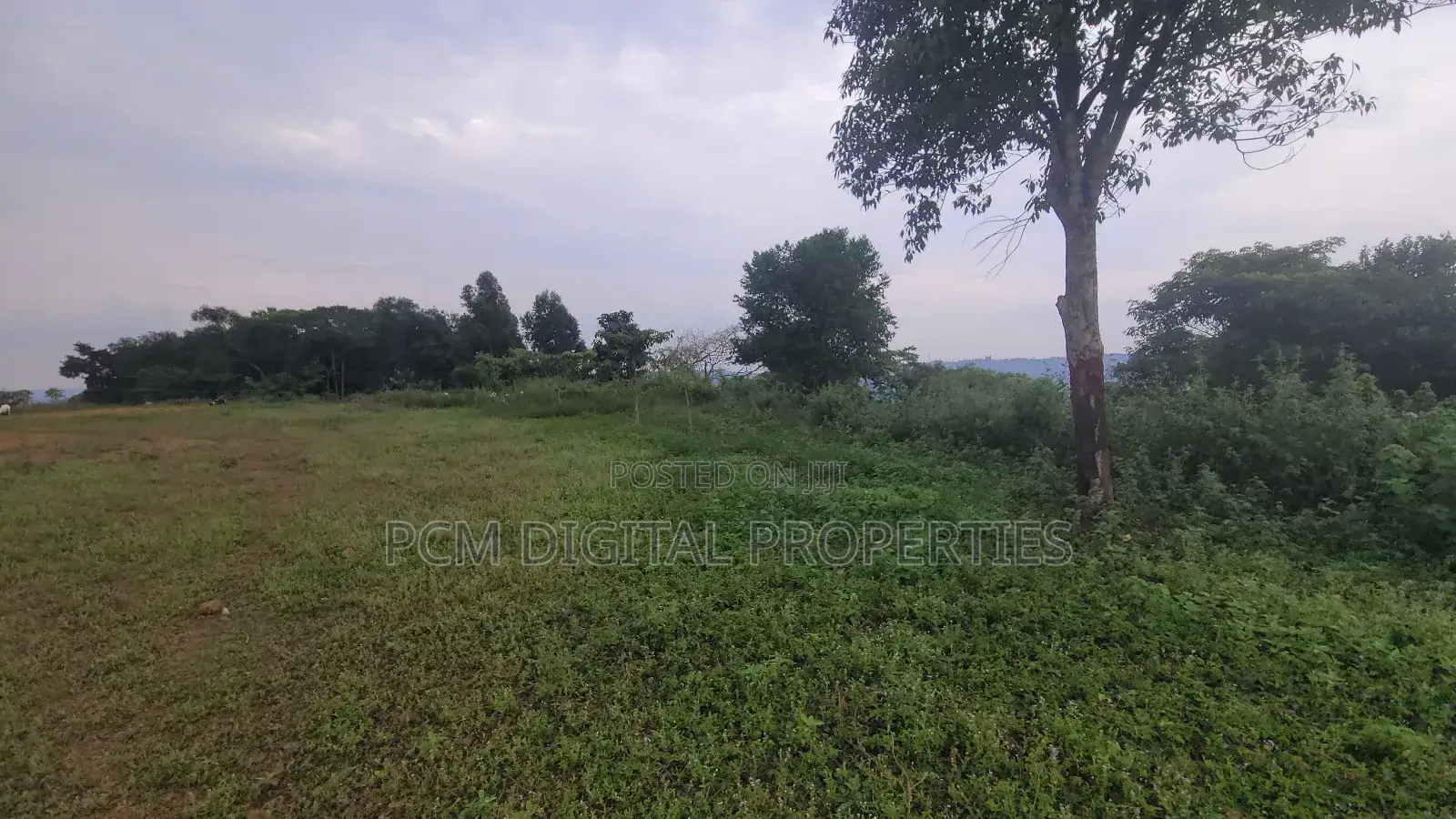 Hill Lake View 23decimals for Sale in Kakilama