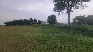 Hill Lake View 23decimals for Sale in Kakilama