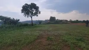 Hill Lake View 23decimals for Sale in Kakilama