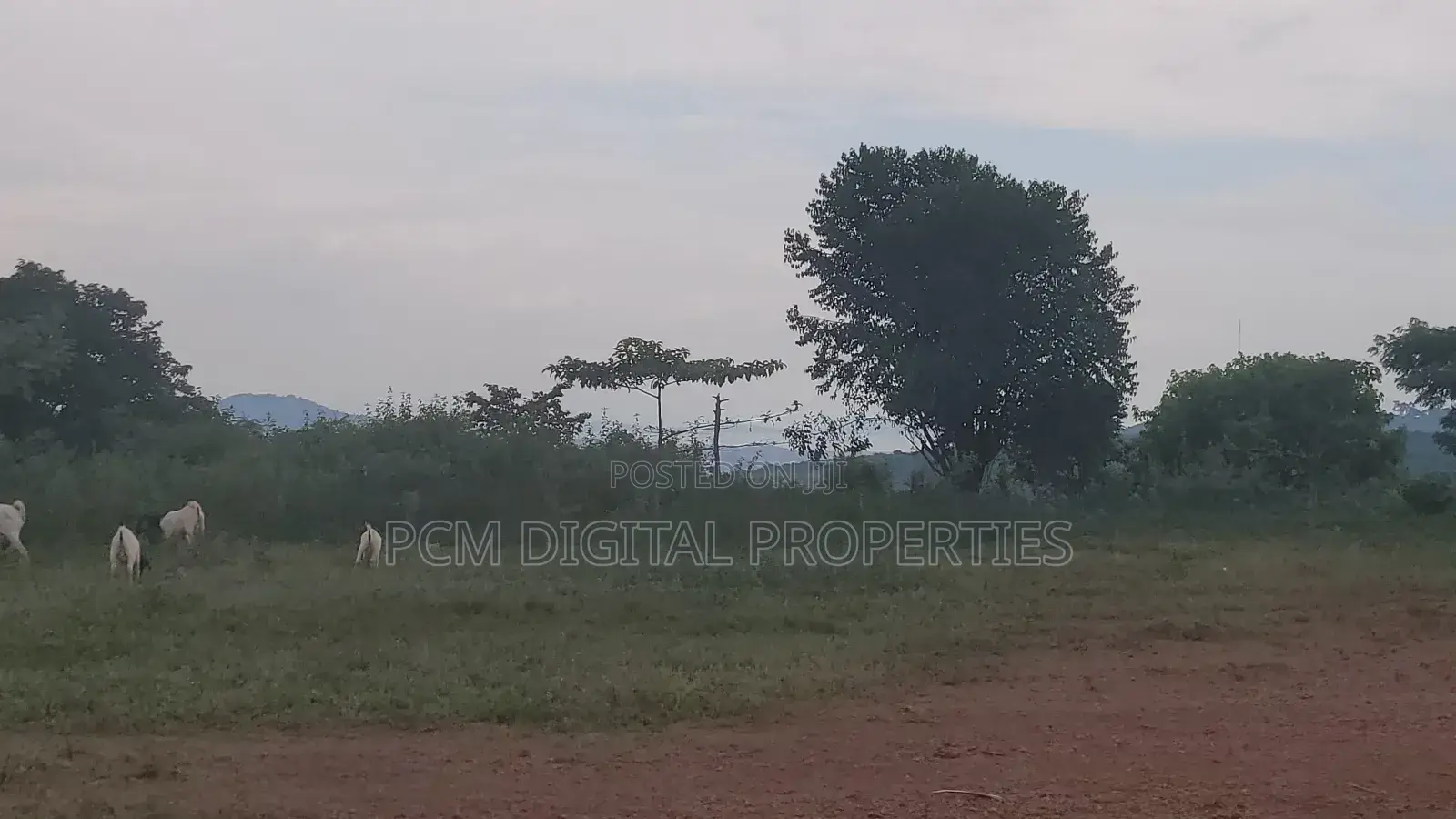 Hill Lake View 23decimals for Sale in Kakilama