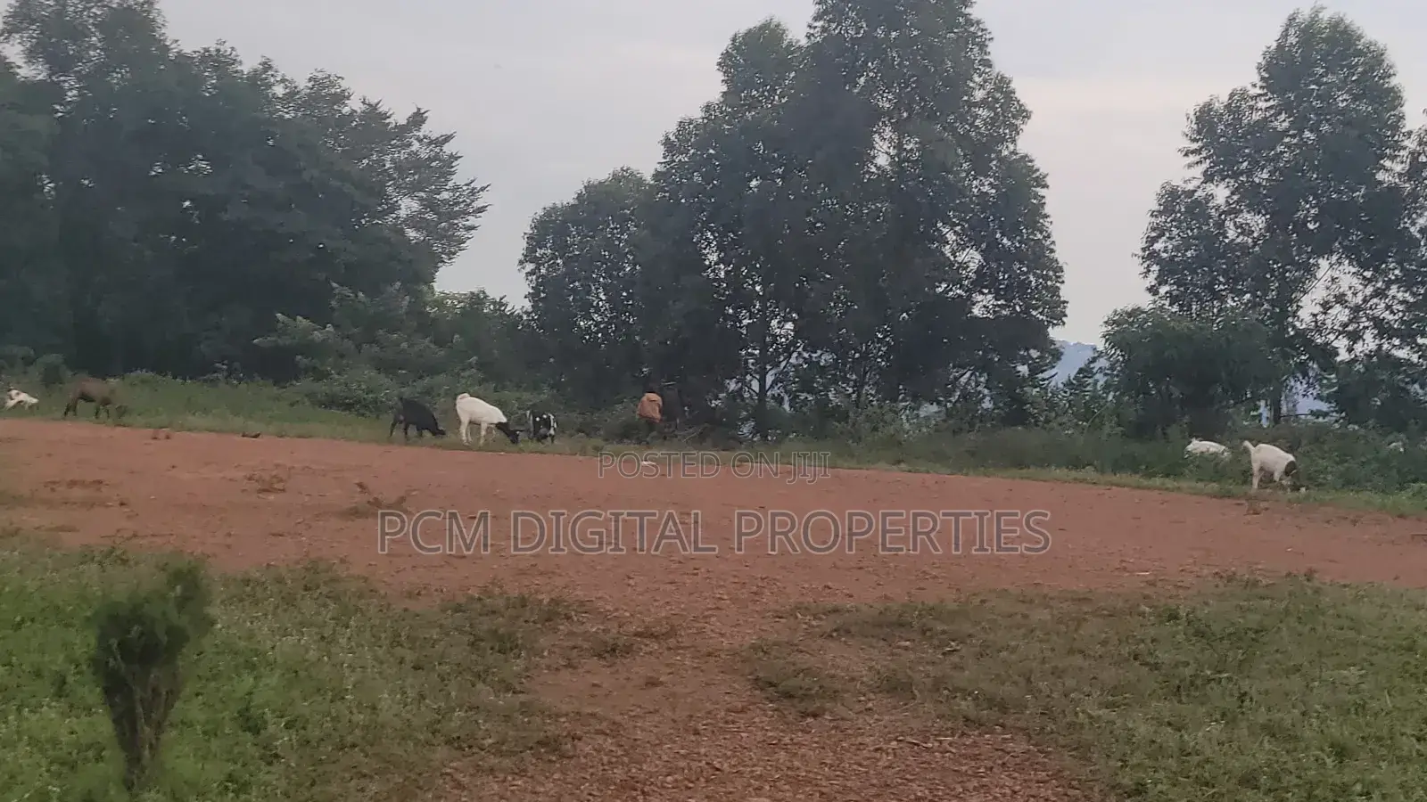 Hill Lake View 23decimals for Sale in Kakilama