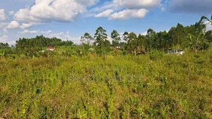 40ft by 45ft Plots on Sell in Matugga Buwambo