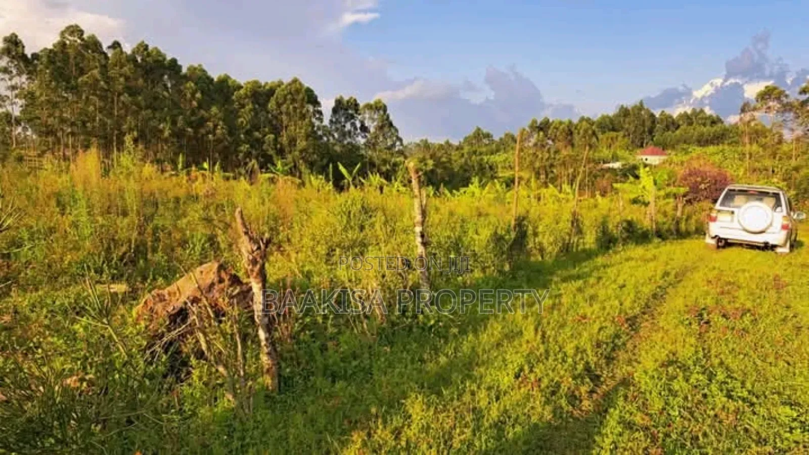 40ft by 45ft Plots on Sell in Matugga Buwambo