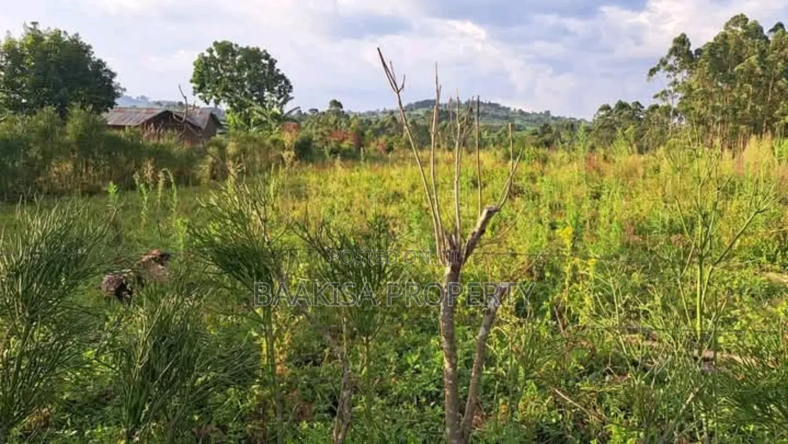 40ft by 45ft Plots on Sell in Matugga Buwambo