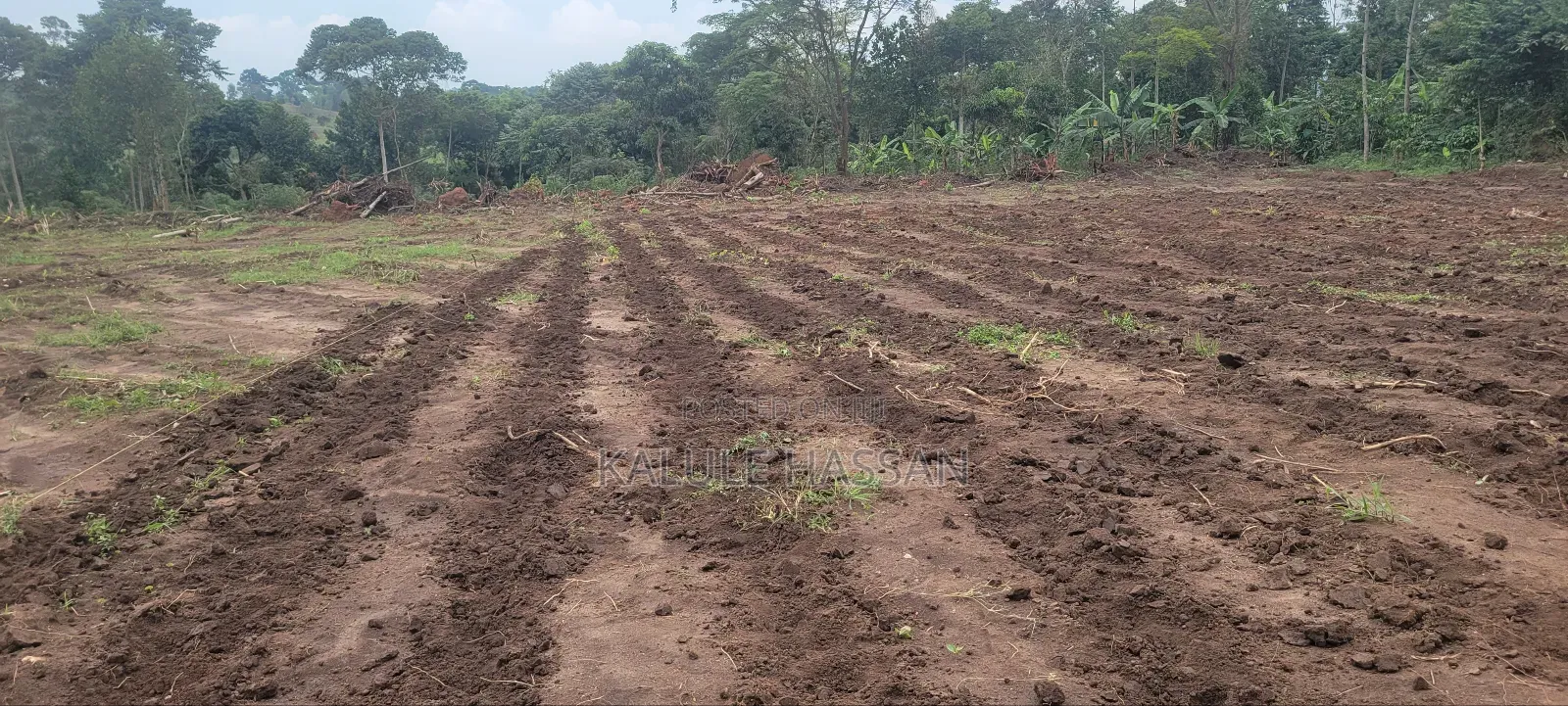 Plots for Sale 50 by 100ft Semuto