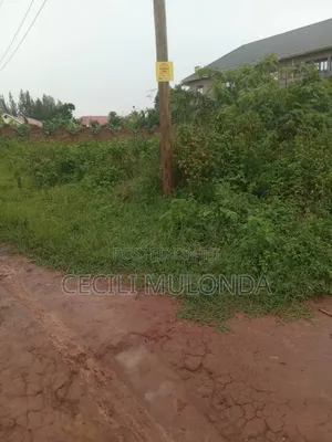 If U Need a Plot 100by 100 Imn Bubuli Nkuma Entebbe Rd