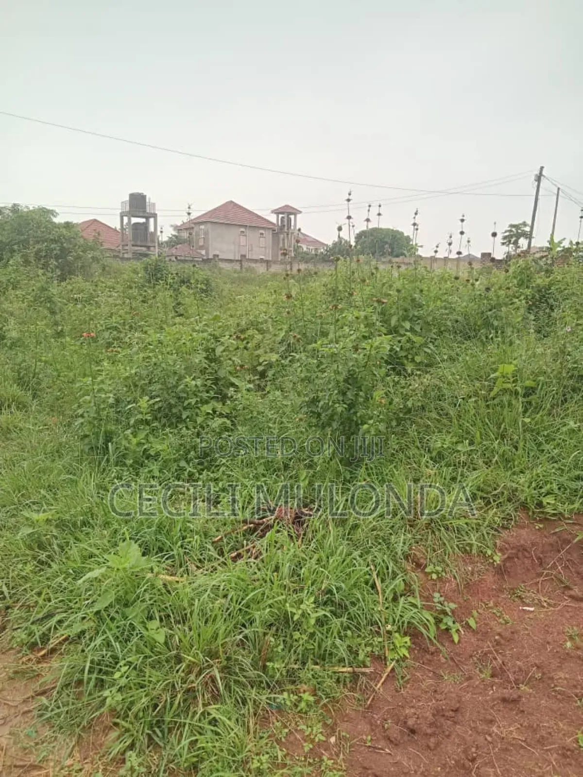 Commercial and Residential Plot 100 by 100 Mailo Land Title Entebbe
