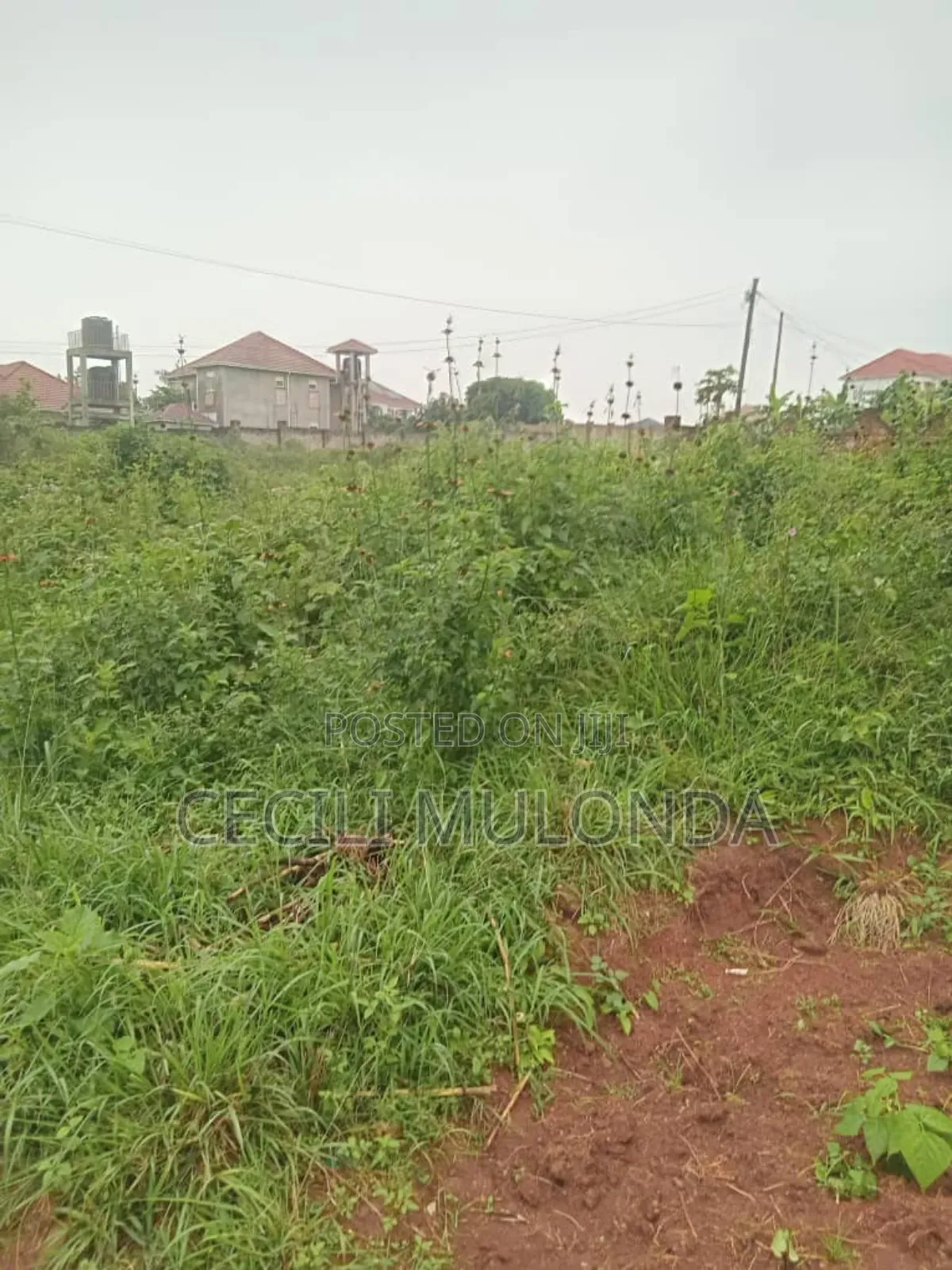 Commercial and Residential Plot 100 by 100 Mailo Land Title Entebbe