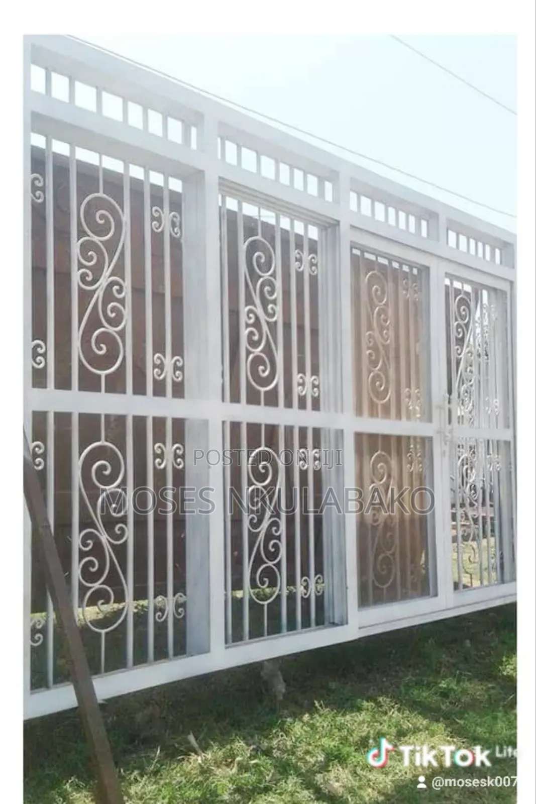 Metallic Doors