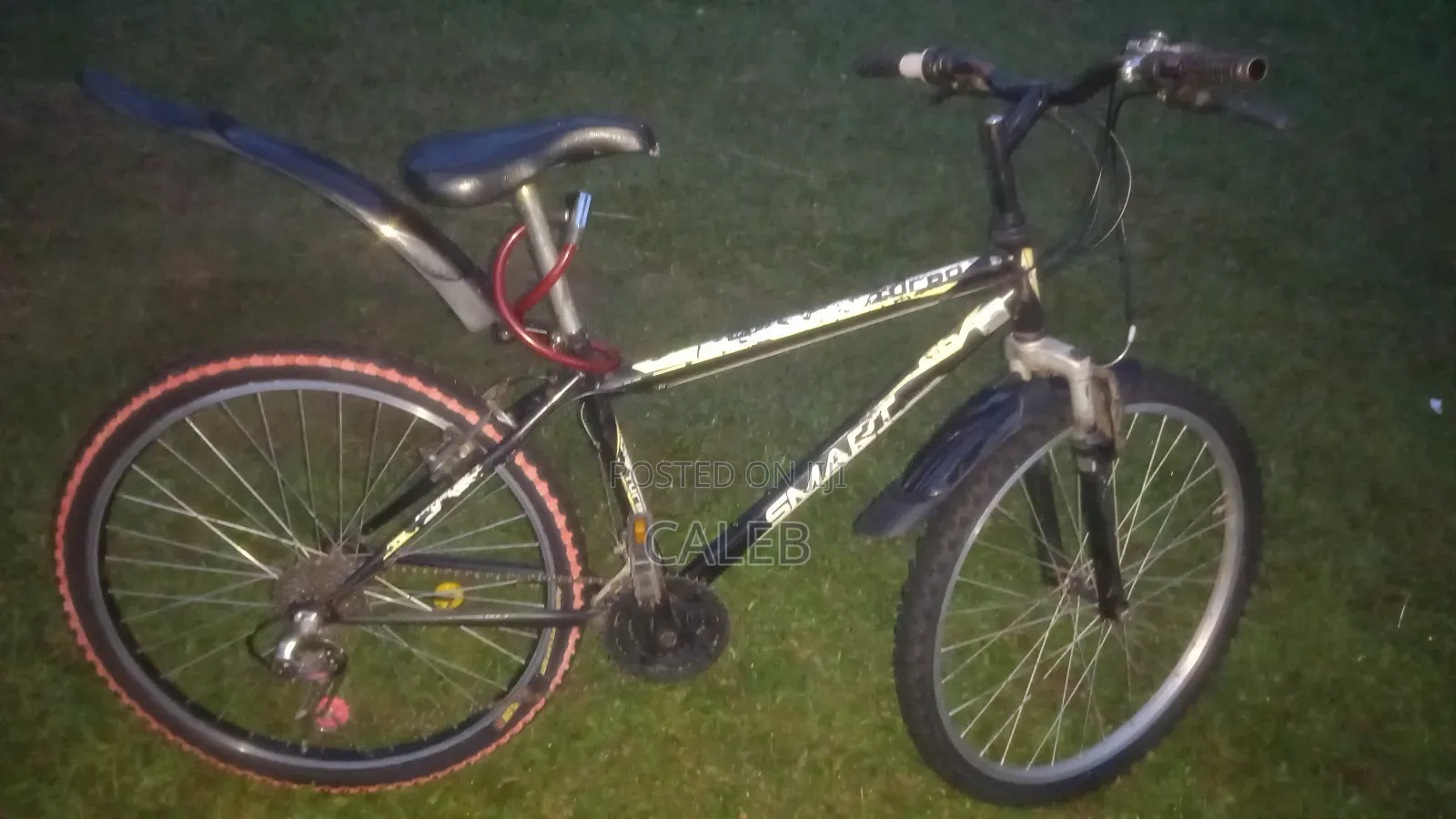 A Bicycle on Board