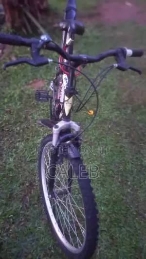 A Bicycle on Board