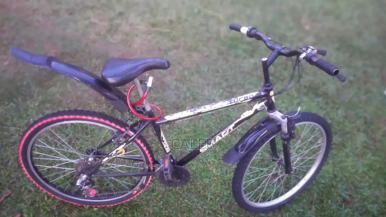 A Bicycle on Board