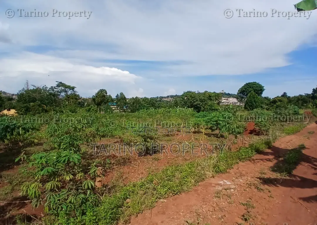 Prime Half Acre in Bwebajja Opposite Akright Estates