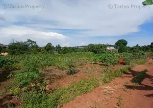 Prime Half Acre in Bwebajja Opposite Akright Estates