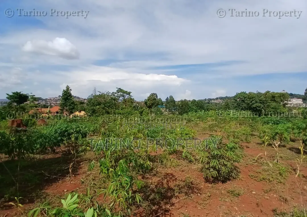 Prime Half Acre in Bwebajja Opposite Akright Estates