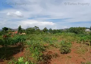 Prime Half Acre in Bwebajja Opposite Akright Estates