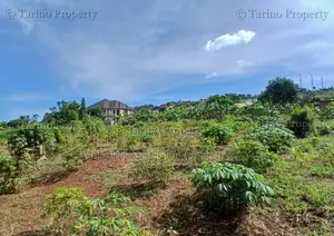 Prime Half Acre in Bwebajja Opposite Akright Estates