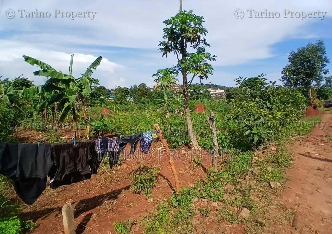 Prime Half Acre in Bwebajja Opposite Akright Estates