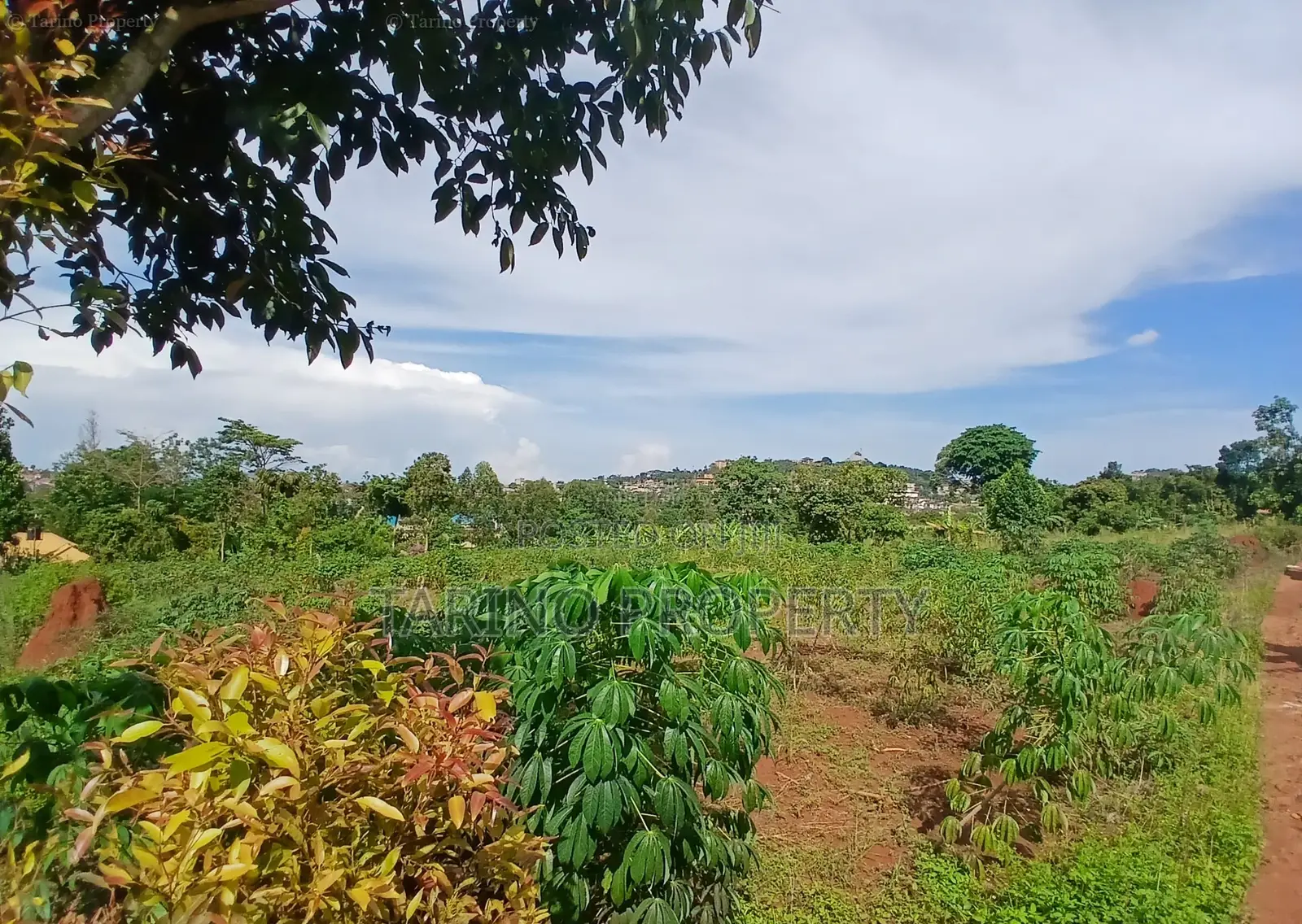Prime Half Acre in Bwebajja Opposite Akright Estates