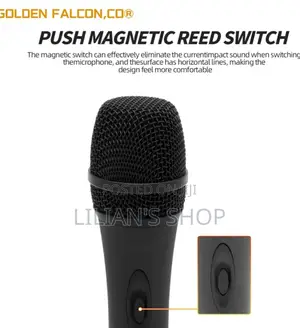 High Quality Metallic Vocals Microphone
