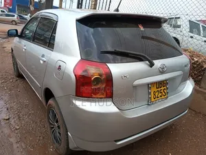 Toyota Corolla RunX 2007 Gray