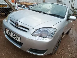 Toyota Corolla RunX 2007 Gray