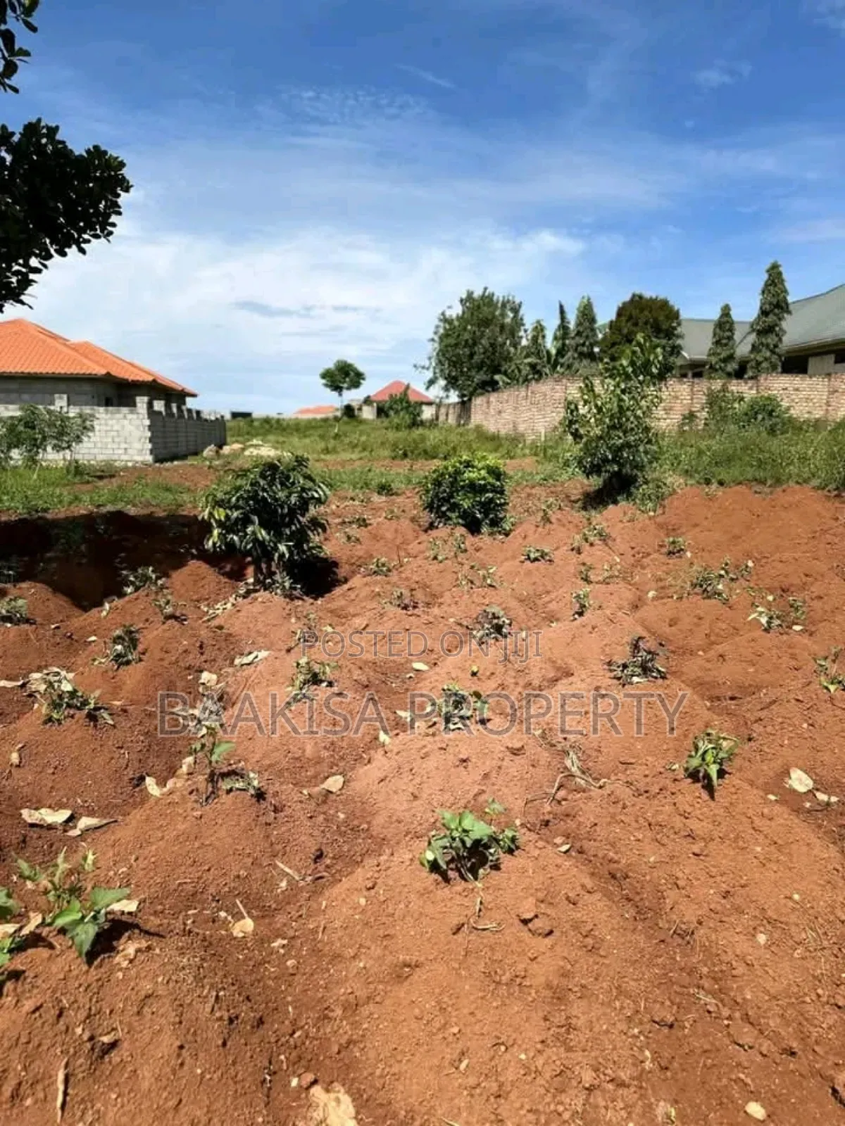50ft by 100ft Plot on Sell in Matugga Buwambo