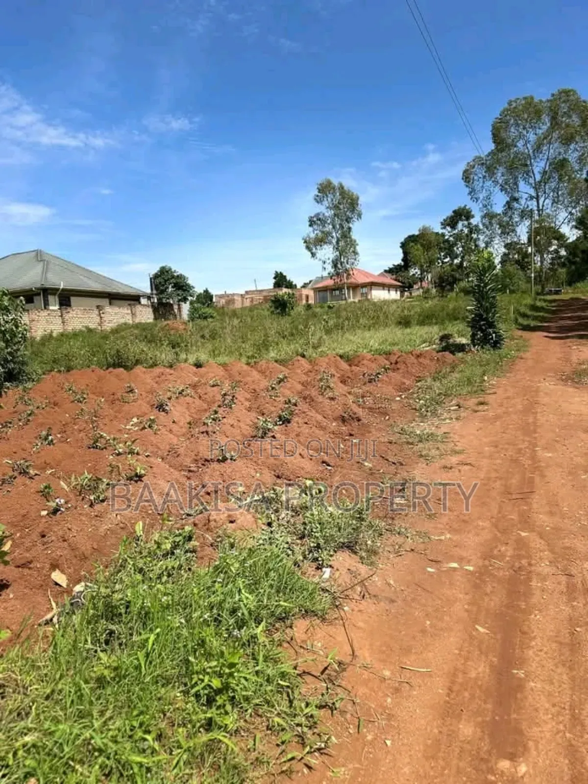 50ft by 100ft Plot on Sell in Matugga Buwambo