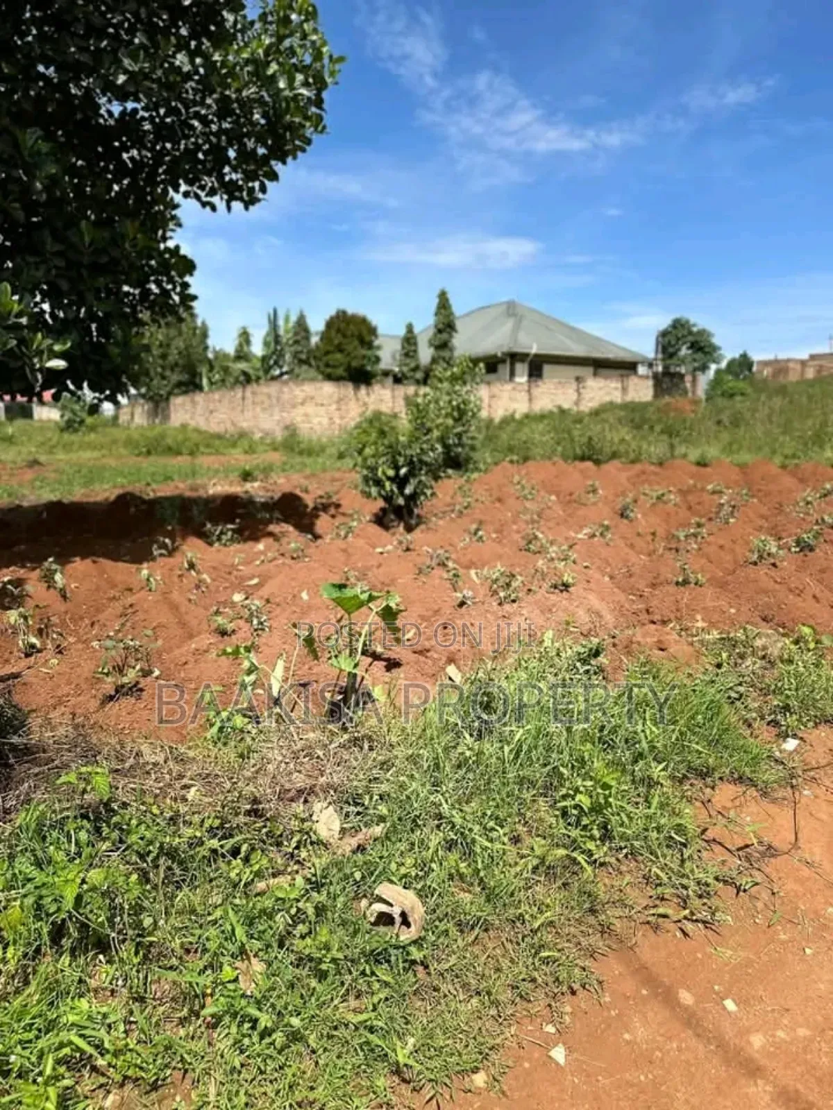 50ft by 100ft Plot on Sell in Matugga Buwambo