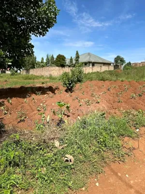 50ft by 100ft Plot on Sell in Matugga Buwambo