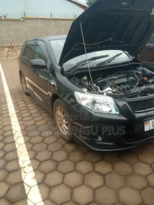 Toyota Corolla Fielder 2011 Black