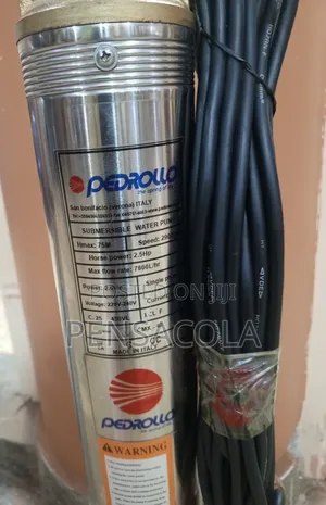 248 Feet / 75m Pedrollo Submersible Water Pump