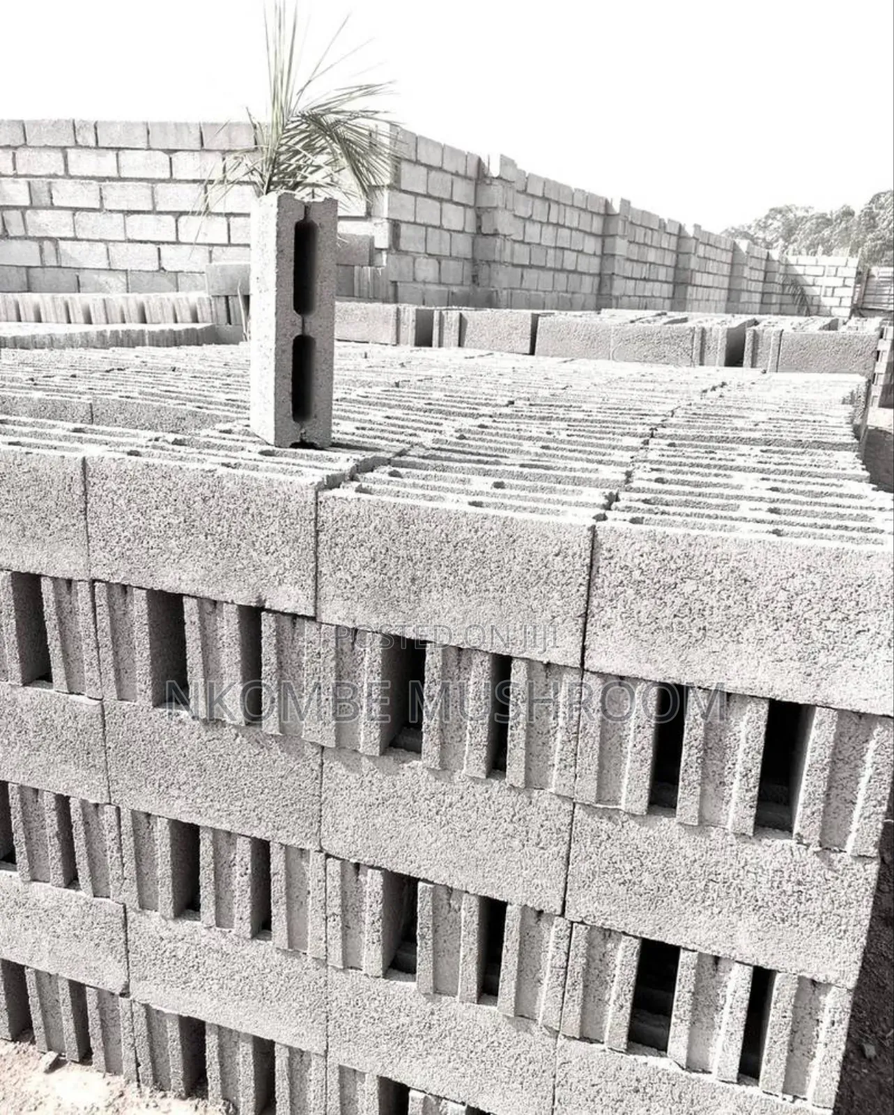 Strong 6-inch Hollow Concrete Blocks Made On-site