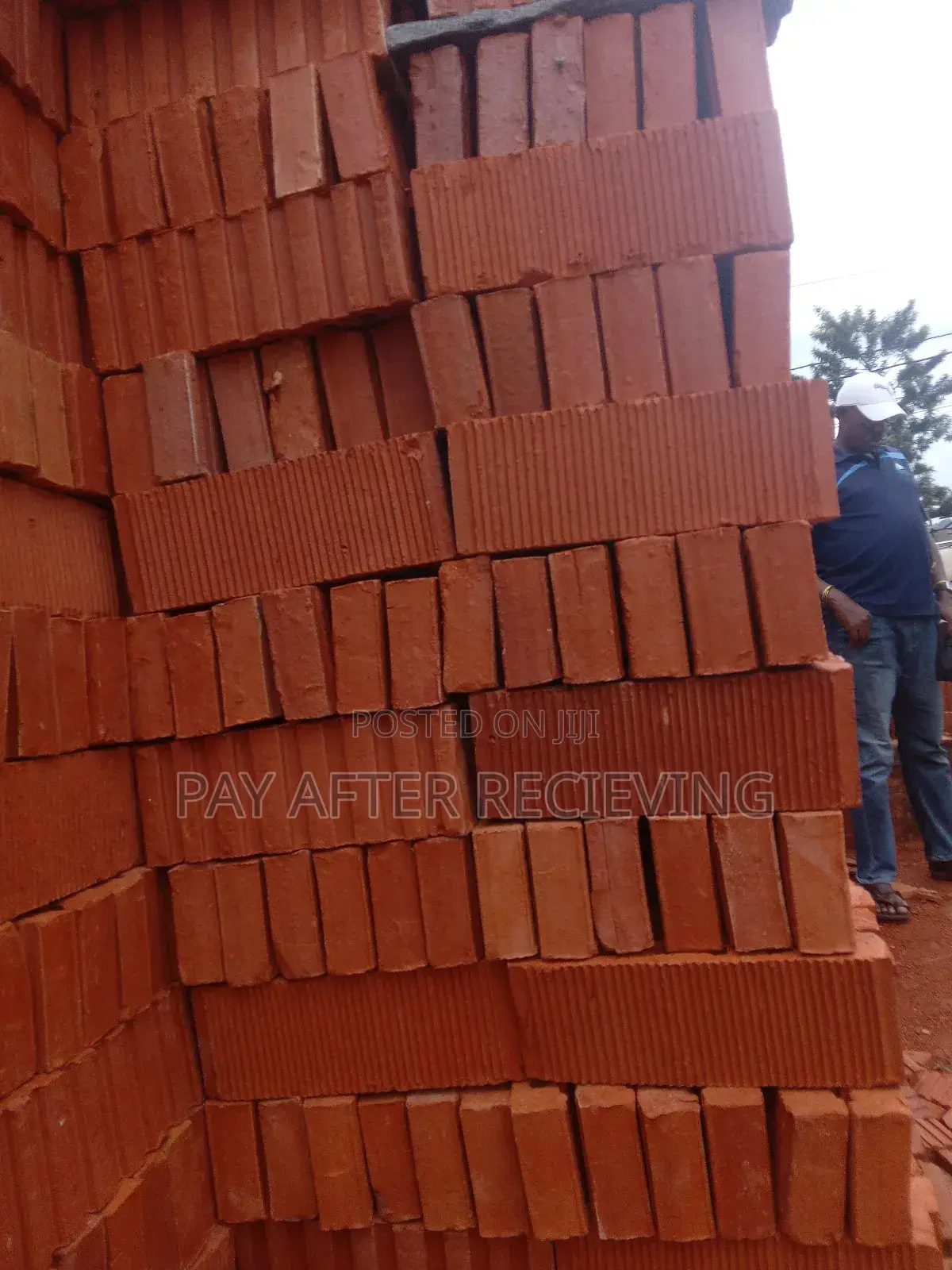 Clay Facing Bricks