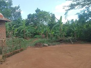 Eastern Pallisa Land for Sale