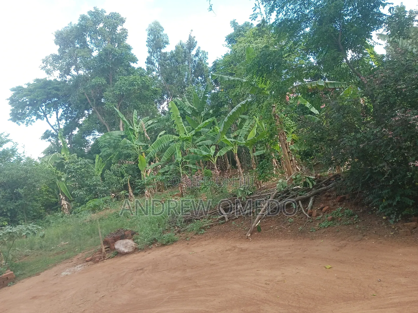 Eastern Pallisa Land for Sale