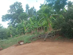 Eastern Pallisa Land for Sale