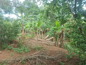 Eastern Pallisa Land for Sale