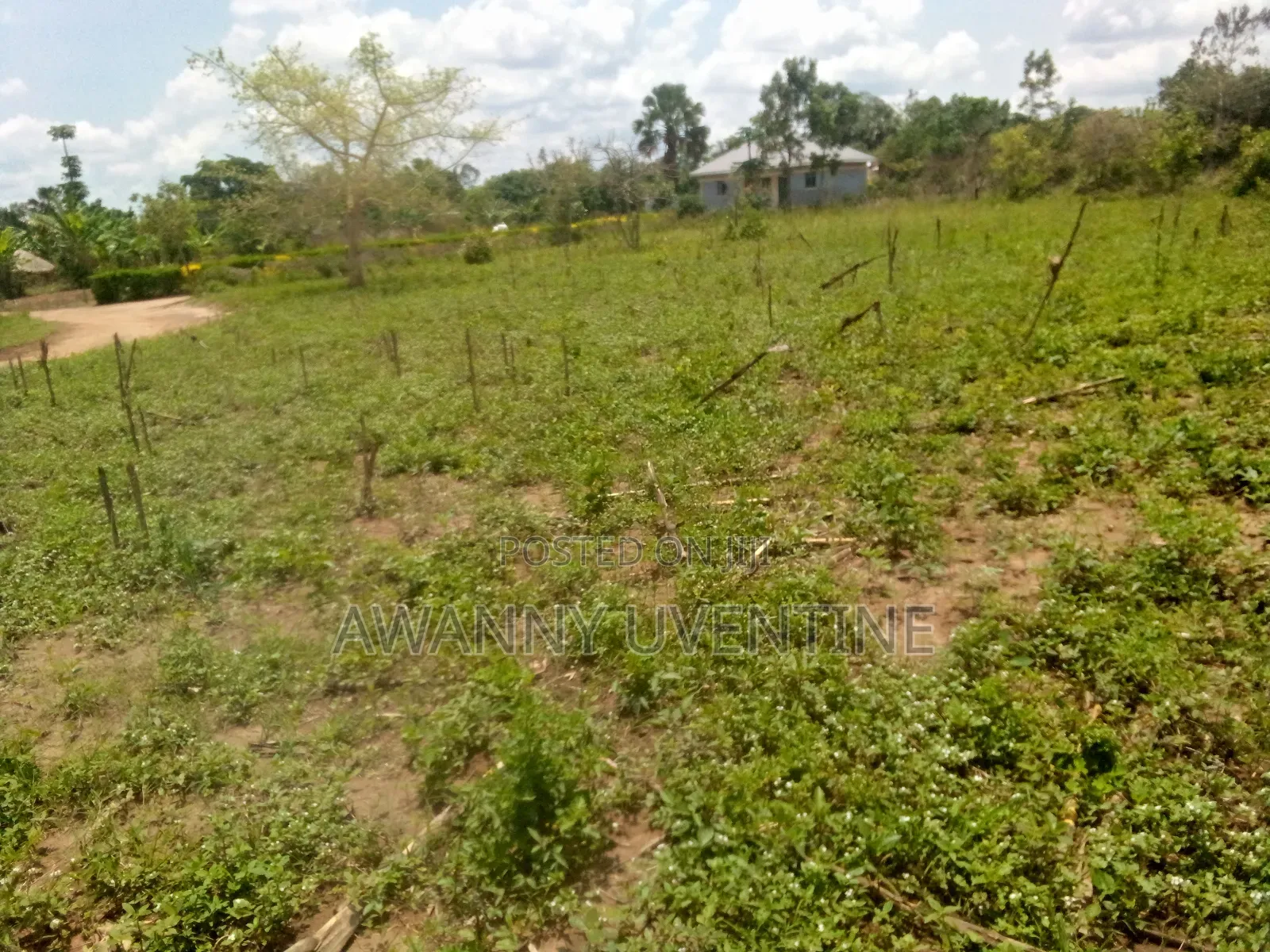 Land Within Lira City (Lira University)