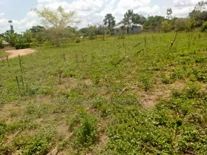 Land Within Lira City (Lira University)