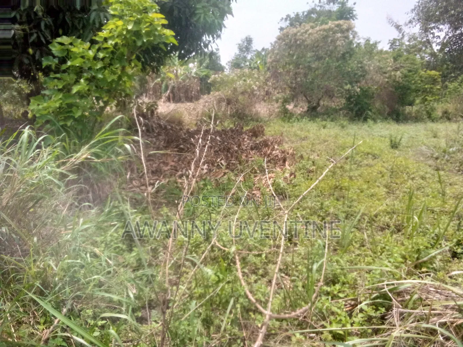 Land for Sale Within Lira City
