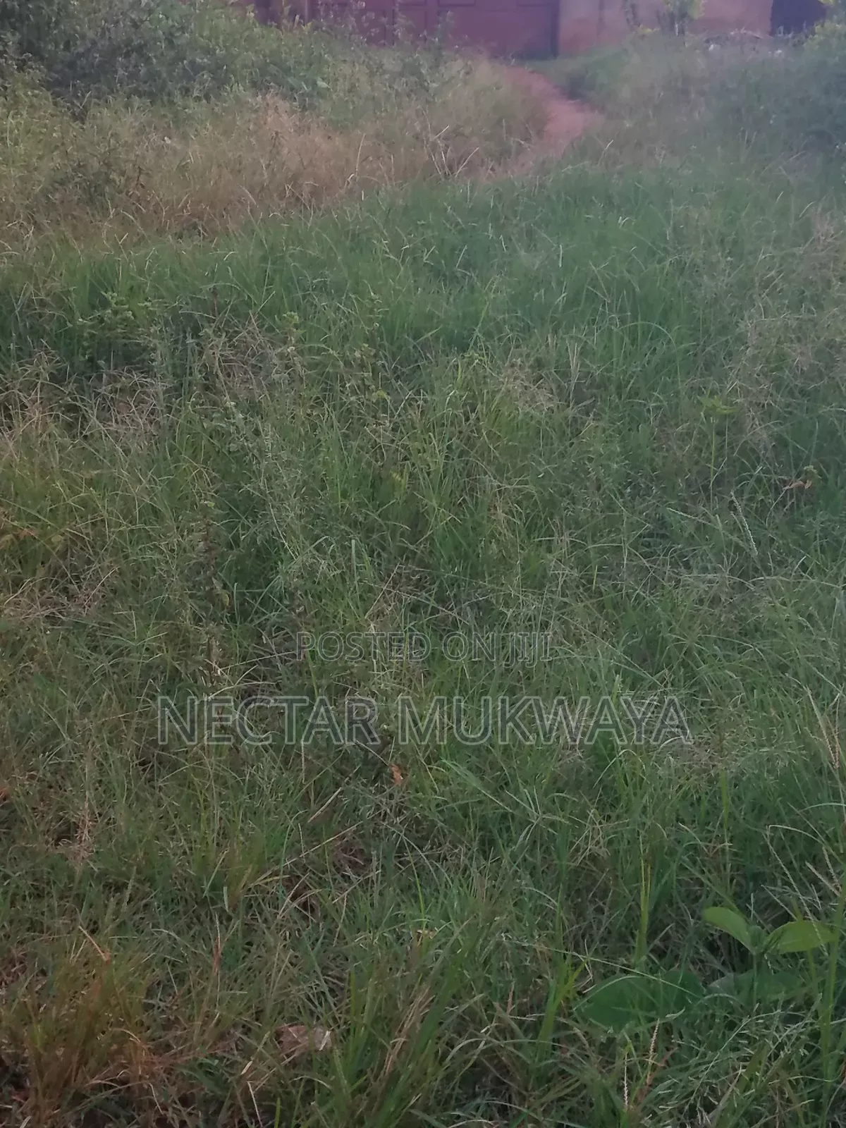 25 by 50 Mukono Kiyunga