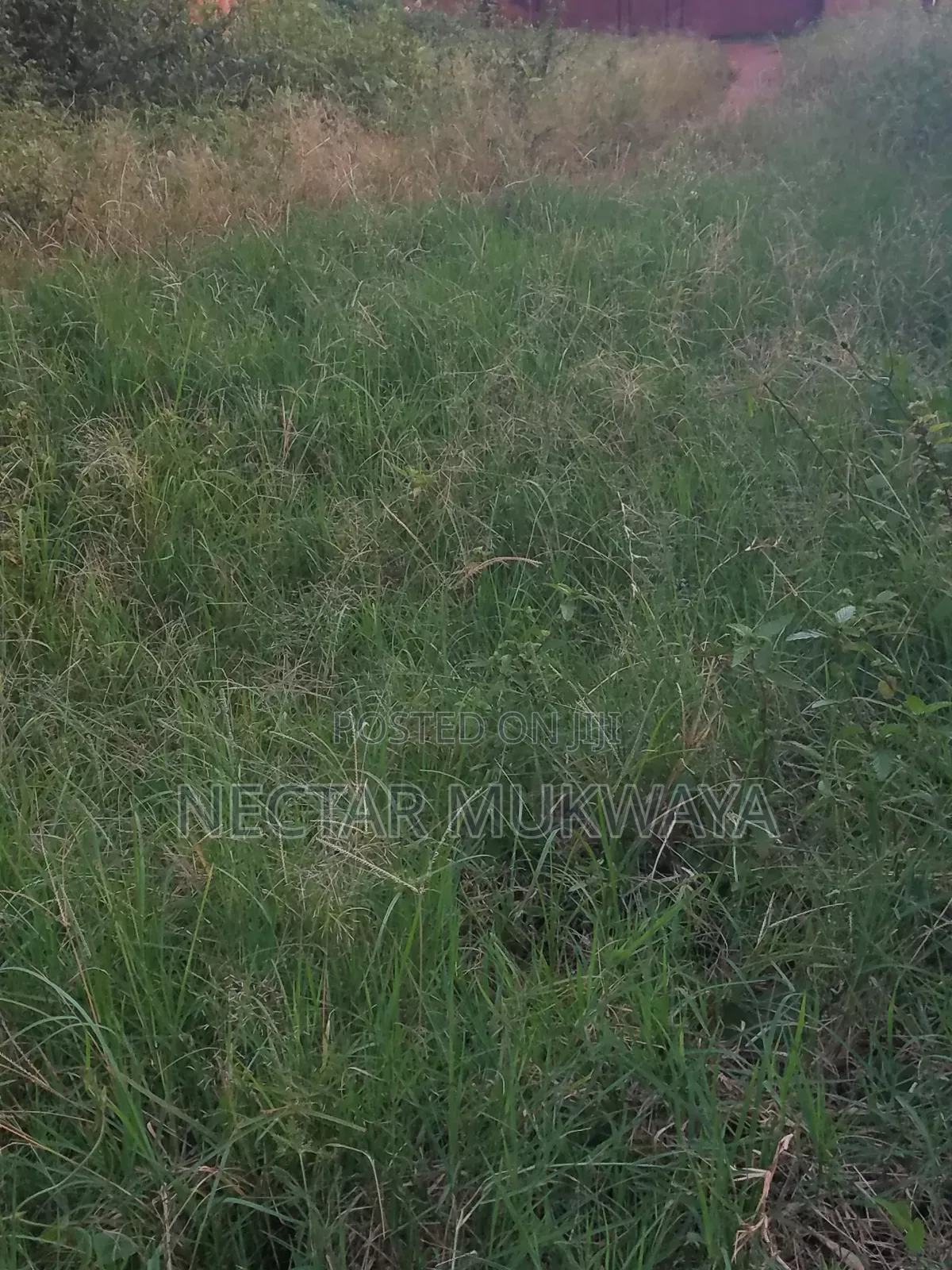 25 by 50 Mukono Kiyunga